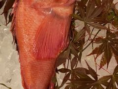 -龍千代·味自慢(黑龙江北路店)