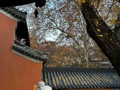 -灵谷景区