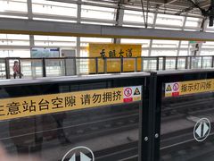 -龙眠大道(地铁站)