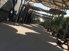 -巴克创奇梦工厂