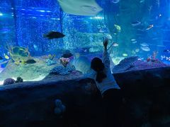 -沈阳海洋探索中心