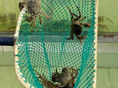 -七的湖·江南蟹舫·阳澄湖农家菜(蟹舫苑店)
