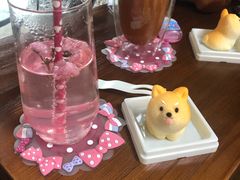 -柴犬高等学院·狗咖·柴犬售卖·宠物训练