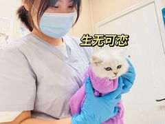 -立德动物医院·24小时中心(番禺区院区)