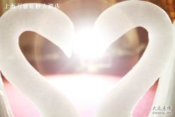 2012婚宴套系天鹅冰雕-上海万豪虹桥大酒店·宴会厅