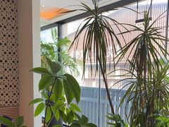 -志明眷村·台式融合菜·宵夜