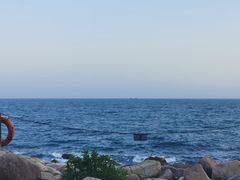 -广东惠东海龟国家级自然保护区