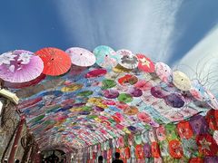 -河北村民俗体验园
