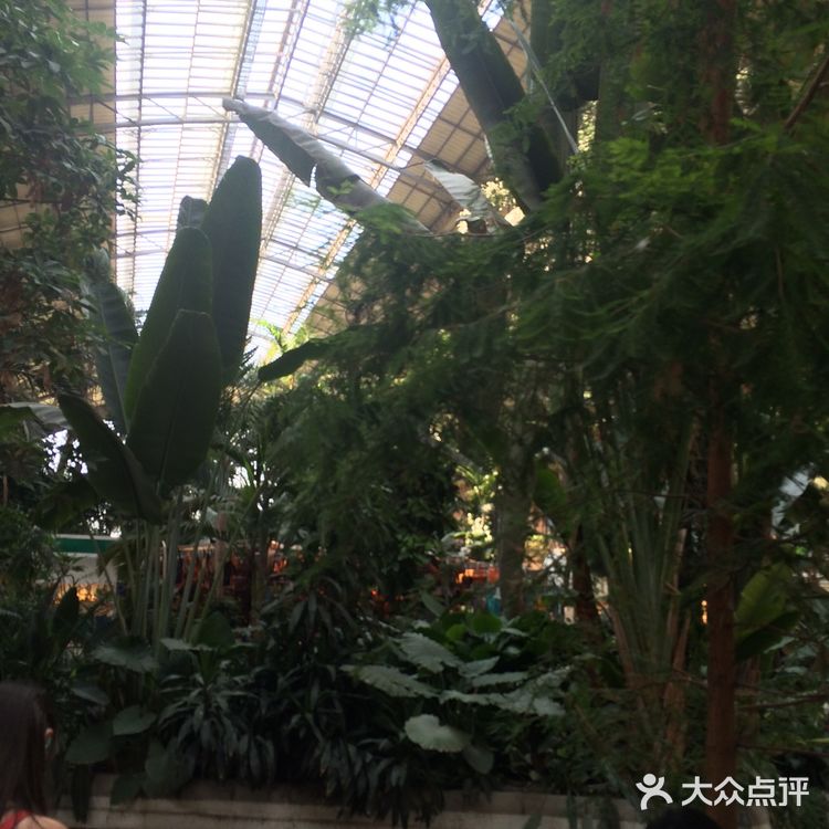 西班牙马德里阿托查火车站乌龟植物乐园