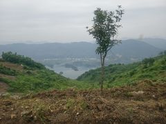 -仙岛湖旅游风景区