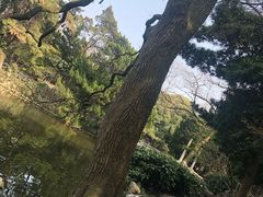 -叶家花园
