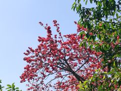 -云溪植物园
