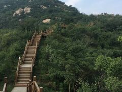 -大岭沟猕猴桃谷风景区