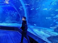 -江和美海洋公园