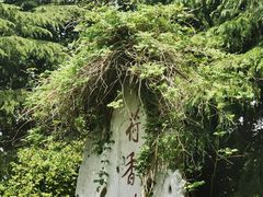 -尚湖风景区