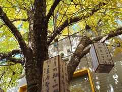 -龙湖星悦荟(颐和店)