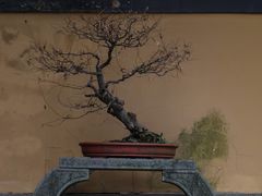-慧因高丽寺
