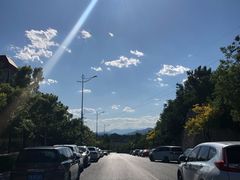 -云岗森林公园