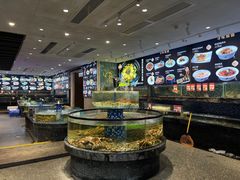 -寻味顺德·珍之宝酒楼(银钻店)