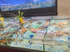 -雅盛品931海鲜酒家