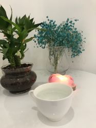 -紫御国际抗衰ZOE ANTI AGING