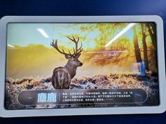 -取水楼(地铁站)