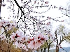 -颐和园