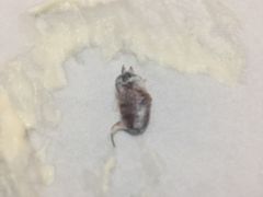-1点点(河南中路店)