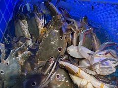 -领鲜活海鲜榴莲自助火锅(东门店)