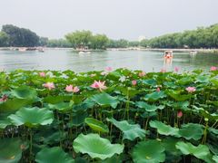 -小王府(什刹海店)