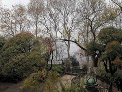 -紫金山天文台