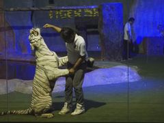 -清迈夜间动物园