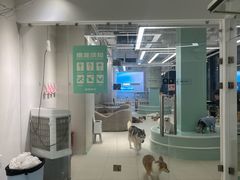 -怪兽屋·羊驼·猫咖·狗咖(俊华广场店)