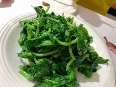 清炒豆尖儿-峨嵋酒家总店(车公庄店)