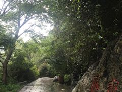 -王顺山国家森林公园