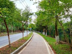 -凤岗南门山森林公园