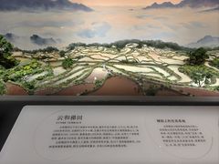 -中国湿地博物馆