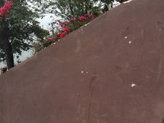 -哈尼梯田美食土菜馆