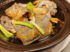 -湛江民大喜来登酒店-采悦轩中餐厅
