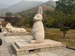 -北京十三陵国家森林公园蟒山景区