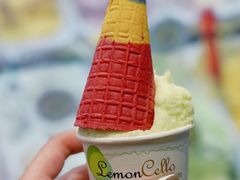 -柠檬车露(卖草地店)