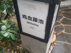 -融汇温泉