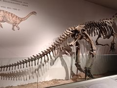 -自贡恐龙博物馆