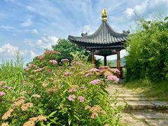 -雅达·阳羡溪山小镇中心