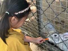 -歌斐颂巧克力小镇