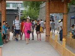 -白洋淀景区