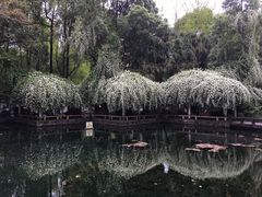 -温江公园
