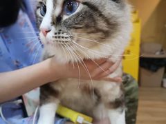 -白兔子密室(长寿路店)