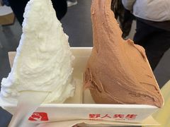 -野人先生Gelato(上海长宁龙之梦店)