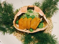 -蝶舍·MAISON PAPILLON